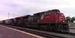 CN A431